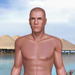 adults enjoying 3D sex games like heterosexual bugger boy Negerapa, sweden, 