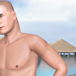 see heterosexual pervert boy Vendetta2, united states, im a pussylicker while playing porn game online