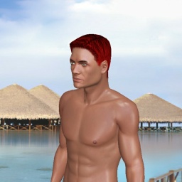 play virtual sex games with mate heterosexual eroticism boy RaySir, none, 