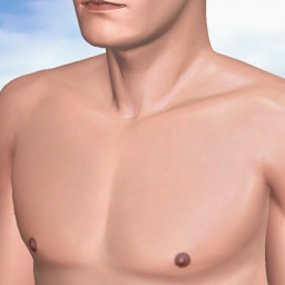 see heterosexual narcissist boy Andrarthur, USA,  while playing porn game online