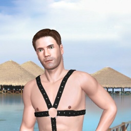3Dsex game playing AChat community member heterosexual erotomanic boy Champlain, 