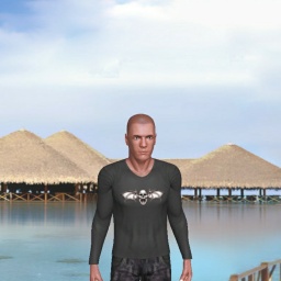 adults enjoying 3D sex games like heterosexual fiend boy Shadow6969, America, 