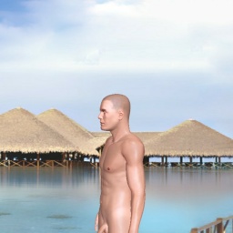 partner heterosexual smarting boy GatoP,  for adult online game playing