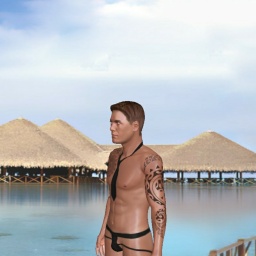 multiplayer virtual sex game player homosexual amorous boy Rubencoelho, portugal, 