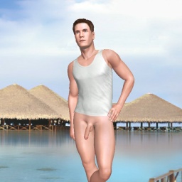 3Dsex game playing AChat community member bisexual erotomanic boy Rosetyan, 