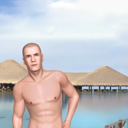 3Dsex game playing AChat community member heterosexual lecher boy Bart, 