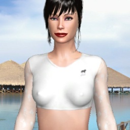 multiplayer virtual sex game player  hot girl JinJan, 