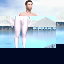 virtual sex game playing w. single girls like heterosexual romantic boy Ninjaice78, BR, 