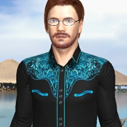 see heterosexual brute boy MRhidden22,  while playing porn game online