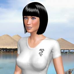 adults like  hot shemale SheToy,  play AChat online sex games