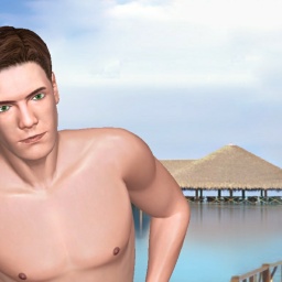 see heterosexual narcissist boy Rellim,  while playing porn game online