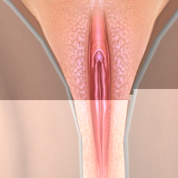 adults like bisexual pervert girl Natasha14068,  play AChat online sex games