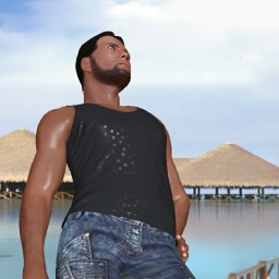 see  hot boy Owlowl,  while playing porn game online
