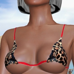 3Dsex game playing AChat community member heterosexual smarting shemale Sonking, 