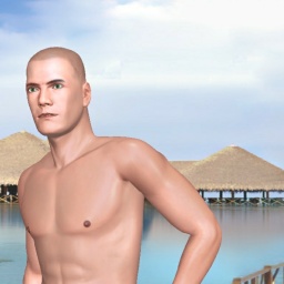 multiplayer virtual sex game player heterosexual romantic boy Blaziken, US, 