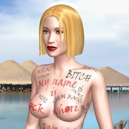 partner  hot girl Dummschlampe,  for adult online game playing