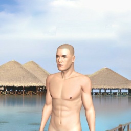 3D sex game community member heterosexual sentimental boy Ssxwxw, usa, Man, qws