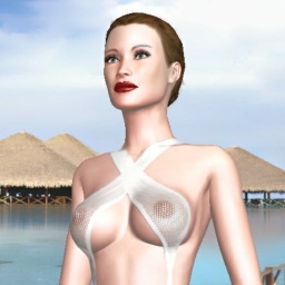 3Dsex game playing AChat community member  hot girl Erciyuan, 