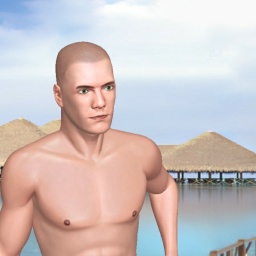3Dsex game playing AChat community member heterosexual smarting boy FrankTheTank, 