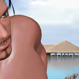 multiplayer virtual sex game player heterosexual amatory boy Joker_who, usa, Stoner, 