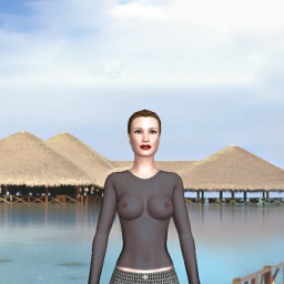 3Dsex game playing AChat community member heterosexual fiend girl PEKHOM, 