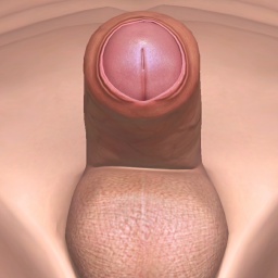 enjoy virtual sex games with mates like bisexual lush boy Dernim, Slave World, slave to all mistresss