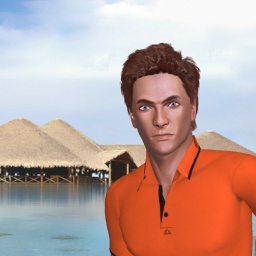 3Dsex game playing AChat community member heterosexual eroticism boy Solarchill, Nl en, 