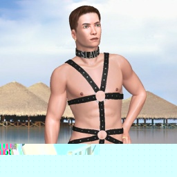 Members 1 No_limt in 3D adult & Virtual Sex adventures