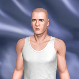 see heterosexual pervert boy Jackllll, USA,  while playing porn game online