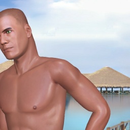 multiplayer virtual sex game player heterosexual narcissist boy PureSerenity, 