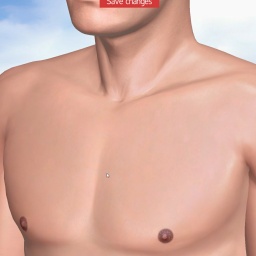 hot online porn game player  hot boy Sebitas, 