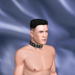 connect and play virtual 3D sex with bisexual narcissist boy XSubBoyx, Subland, sub for s and f