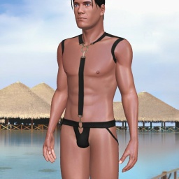 for 3D virtual sex game, join and contact heterosexual bugger boy Sexaholic, nympholand, love powerplay.. total switch. domsub based on who im fucking