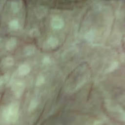 c01801158 0000001784068303