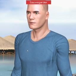 sexgame online MMO playing with adult member bisexual erotomanic boy NICKTOUT, France, 