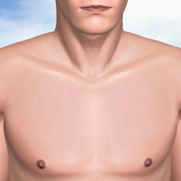 best sim sex game online with heterosexual devoted boy Nick_, canadda, 