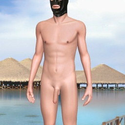 multiplayer virtual sex game player  hot boy Heimale1, 
