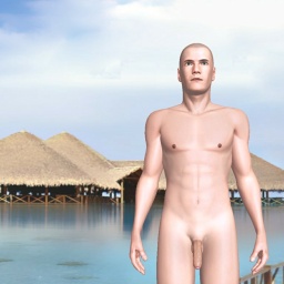 multiplayer virtual sex game player heterosexual brute boy Sj86286200, Japan, 