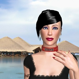 partner heterosexual erotomanic shemale Cinderella12, Like rp, who can make some rules for rp?=shemale bitch=u can rape me for adult online game playing