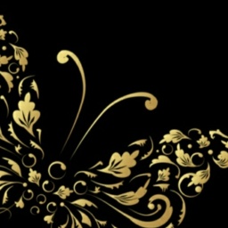 free cybersex experience with  voluptuous girl Noahmarie, open minded, cold invite = ignore list