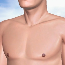 see heterosexual lush boy ZAILE,  while playing porn game online