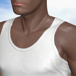 3Dsex game playing AChat community member heterosexual smarting boy Ayomir, 