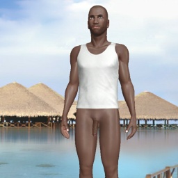 3Dsex game playing AChat community member bisexual erotomanic boy PoleBro, 