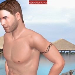 hot online porn game player  hot boy Braveman35, 