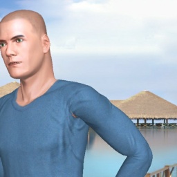 for 3D virtual sex game, join and contact heterosexual bugger boy MOSEPIKL, USA, 