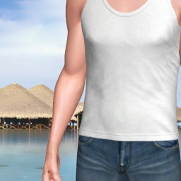 multiplayer virtual sex game player  hot boy Heiman06, 