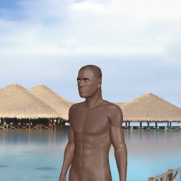 adults enjoying 3D sex games like bisexual emotional boy PLAYBOYTRIN, usa, 