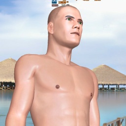 partner heterosexual nymphomaniac boy Toons,  for adult online game playing