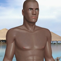 play virtual sex games with mate heterosexual fiend boy Hologuy38, united states, im a horny perv