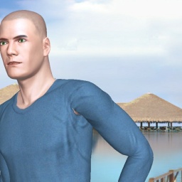 3Dsex game playing AChat community member heterosexual fiend boy MediBG, 